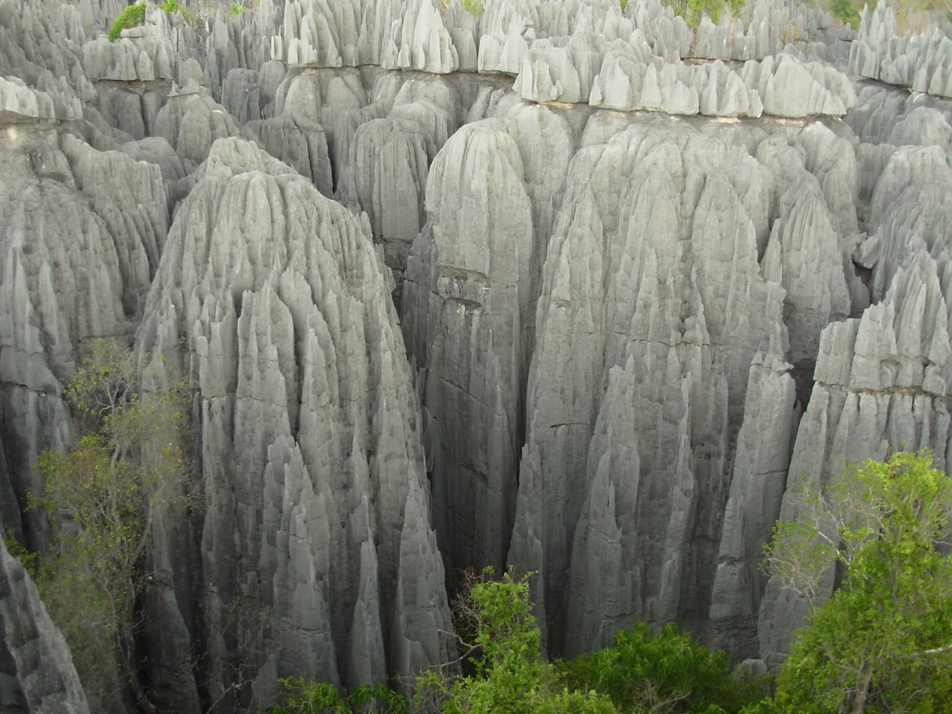 Tsingy de Bemaraha