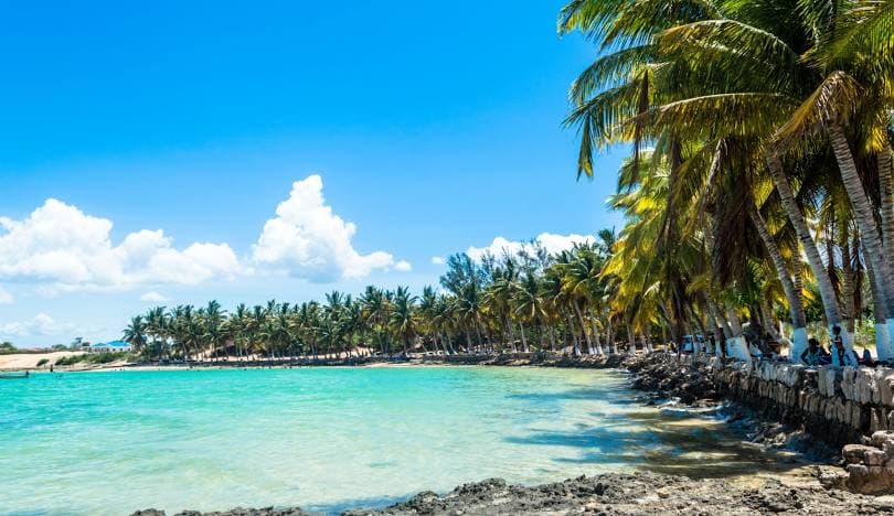 Madagascar: Voyage Sur-Mesure ou Circuit Organisé? Faites le Bon Choix!