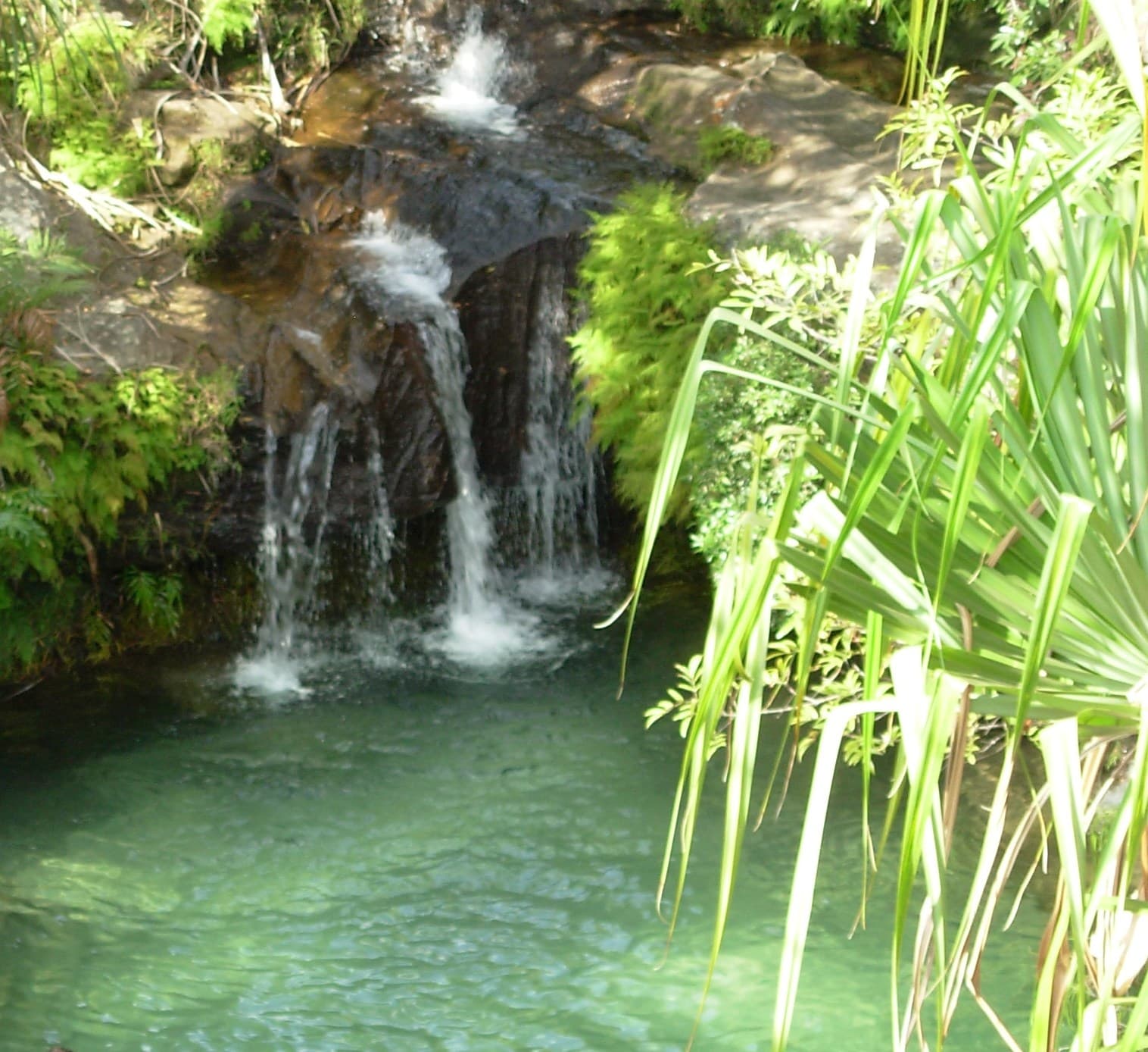 Piscine de l'Isalo