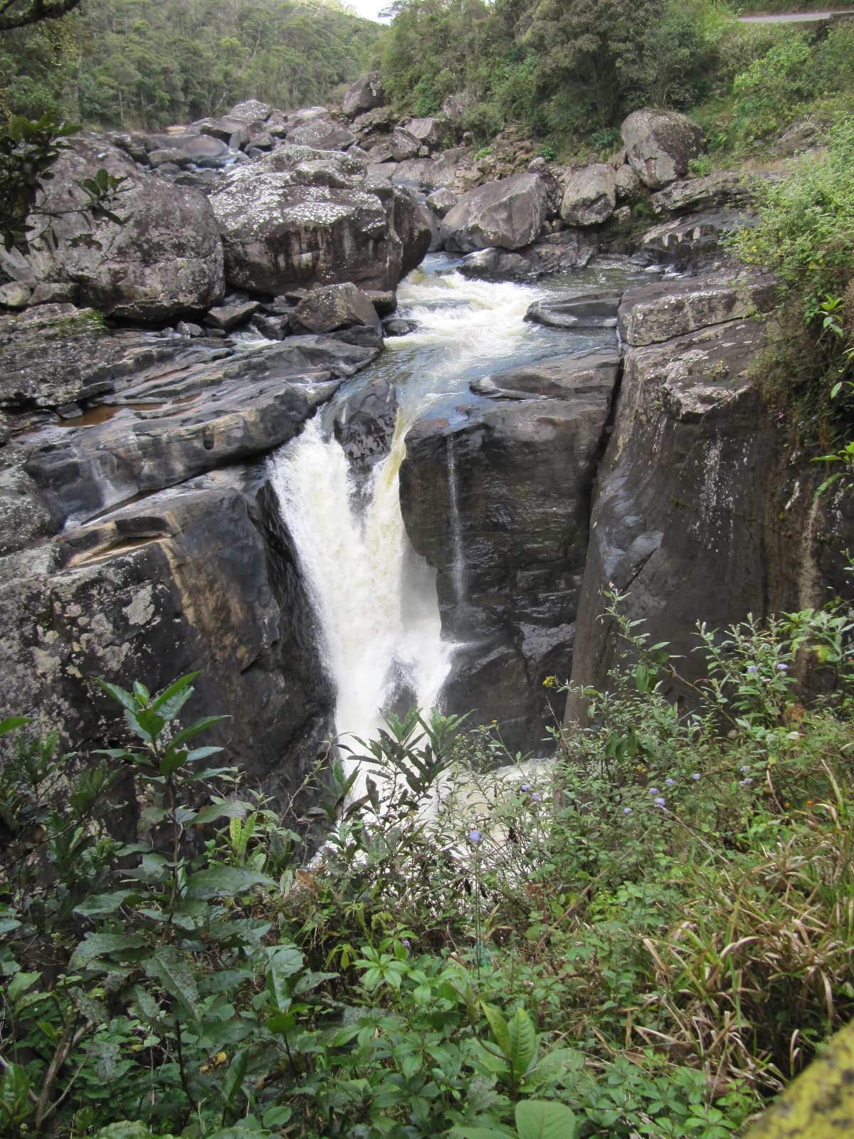 Parc National de Ranomafana