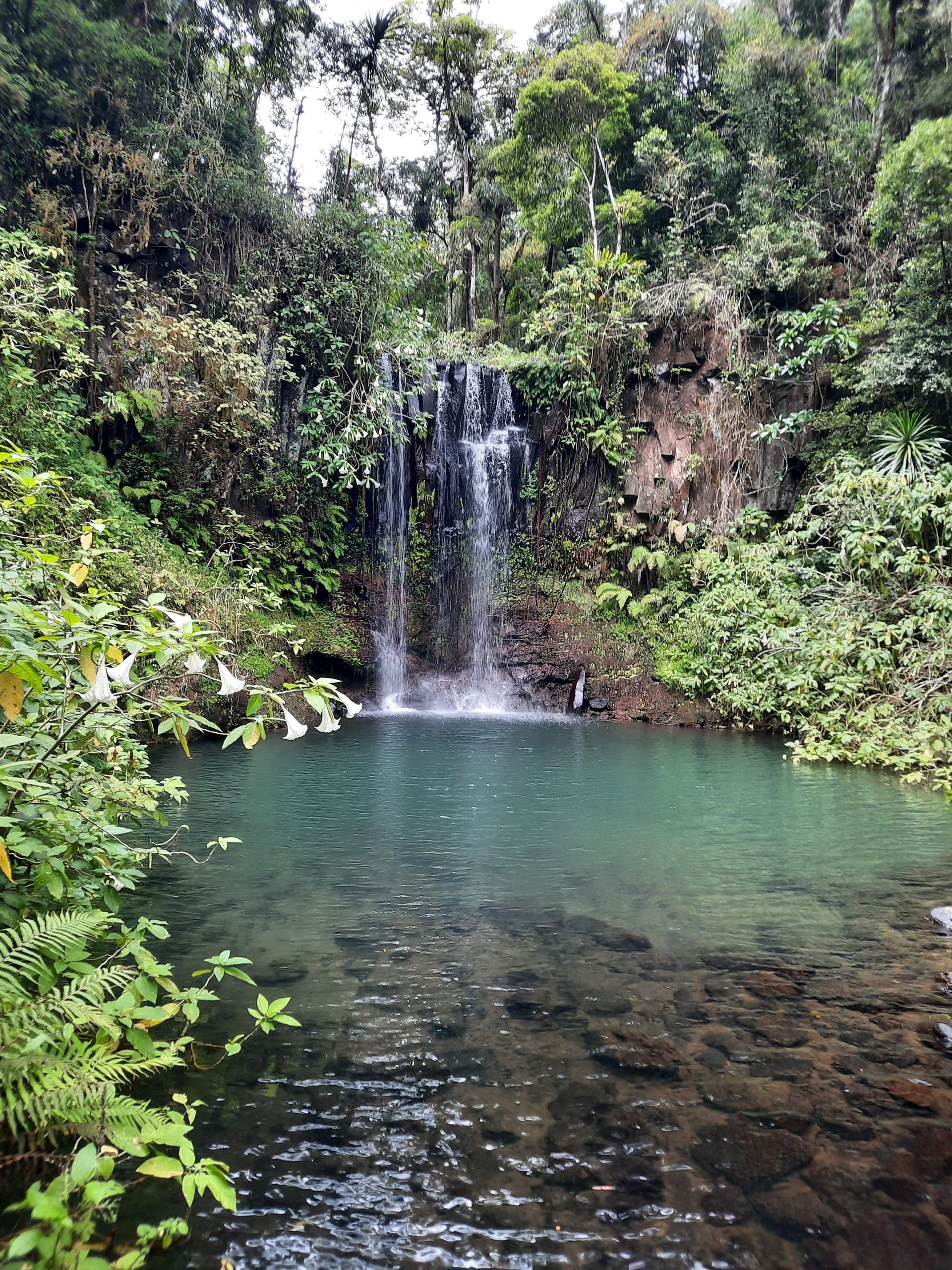Philippe P - TripAdvisor