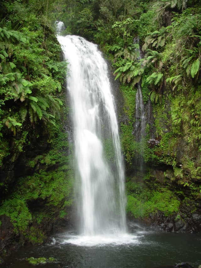 Cascade au Montagne d'Ambre