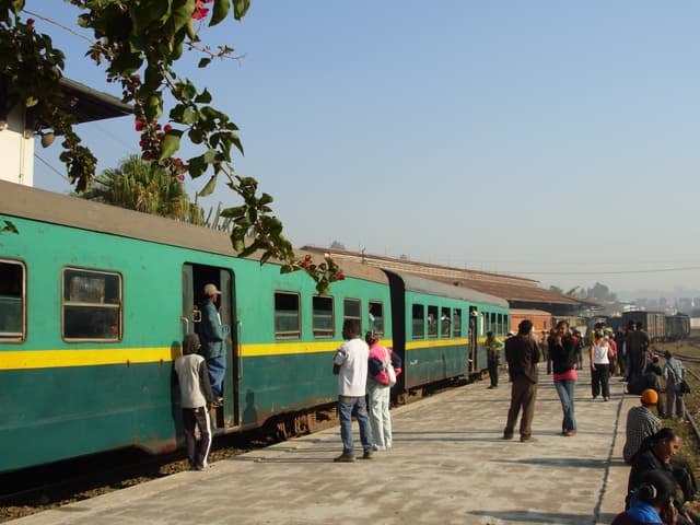 TGV de Madagascar (Train à Grande Vibration)